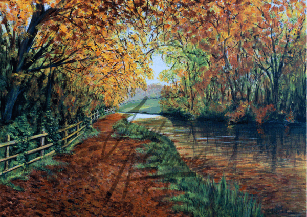 Autumn Canal Wordsley