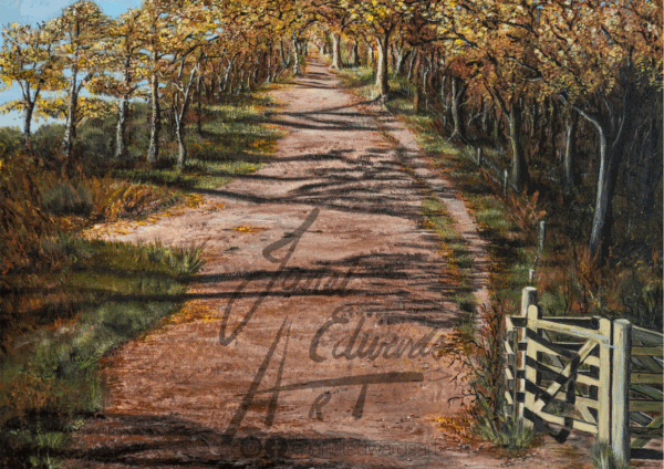 Kinver Edge Walk in Autumn
